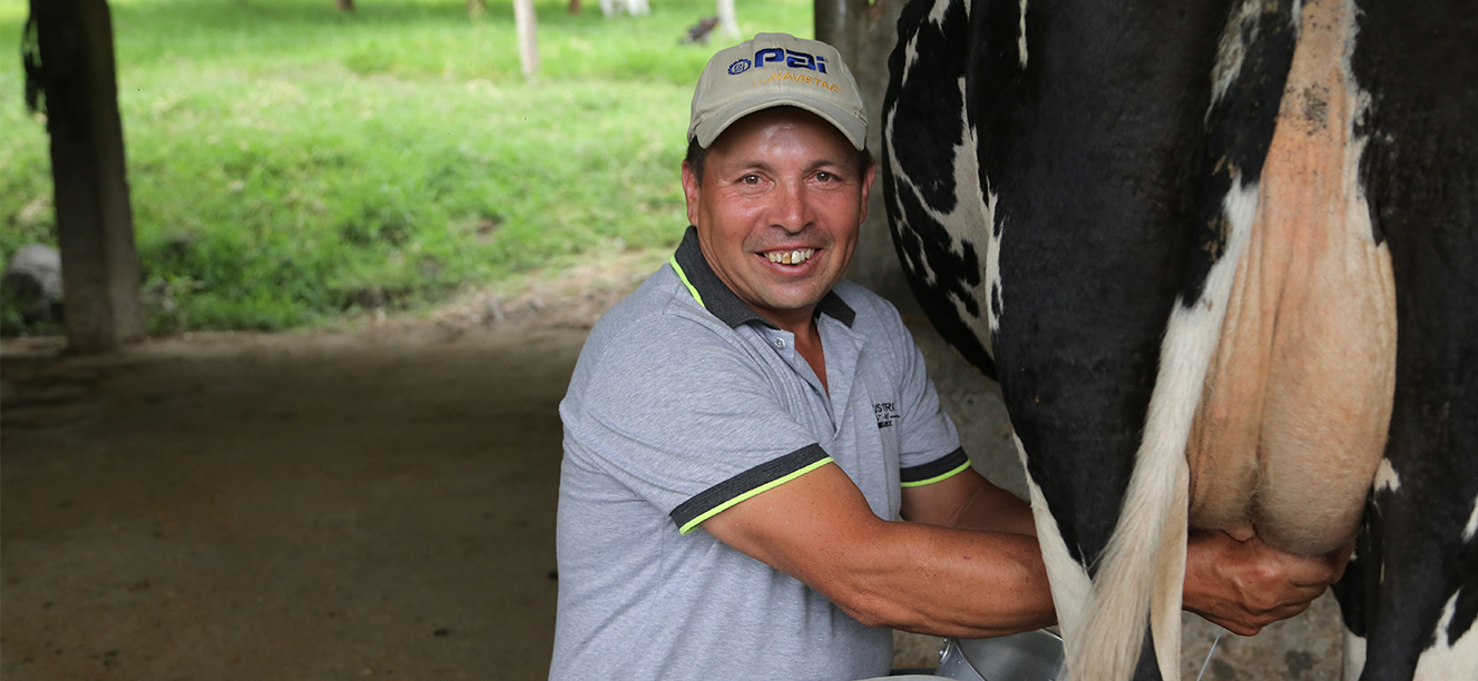 Proceso De La Leche Del Campo A Tu Mesa Alquería 4815